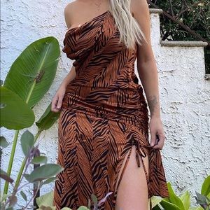 Jungle Zebra Print Dress